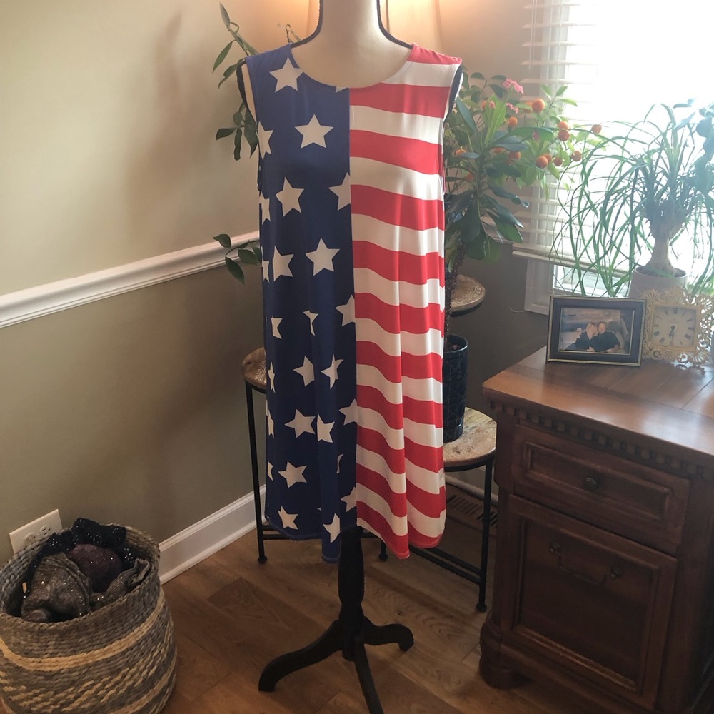 🇺🇸 Women’s~Dress Works~Red White & Blue Swing Dress! NWT❤️